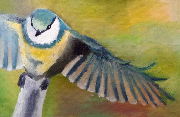 Oiseau-peinture-Soleane