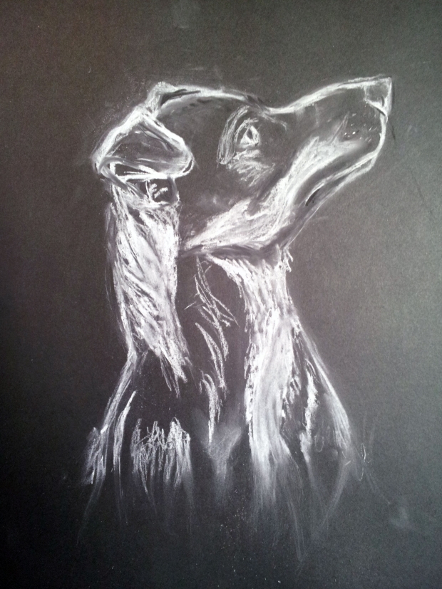 Chien-à-la-craie-Emilia